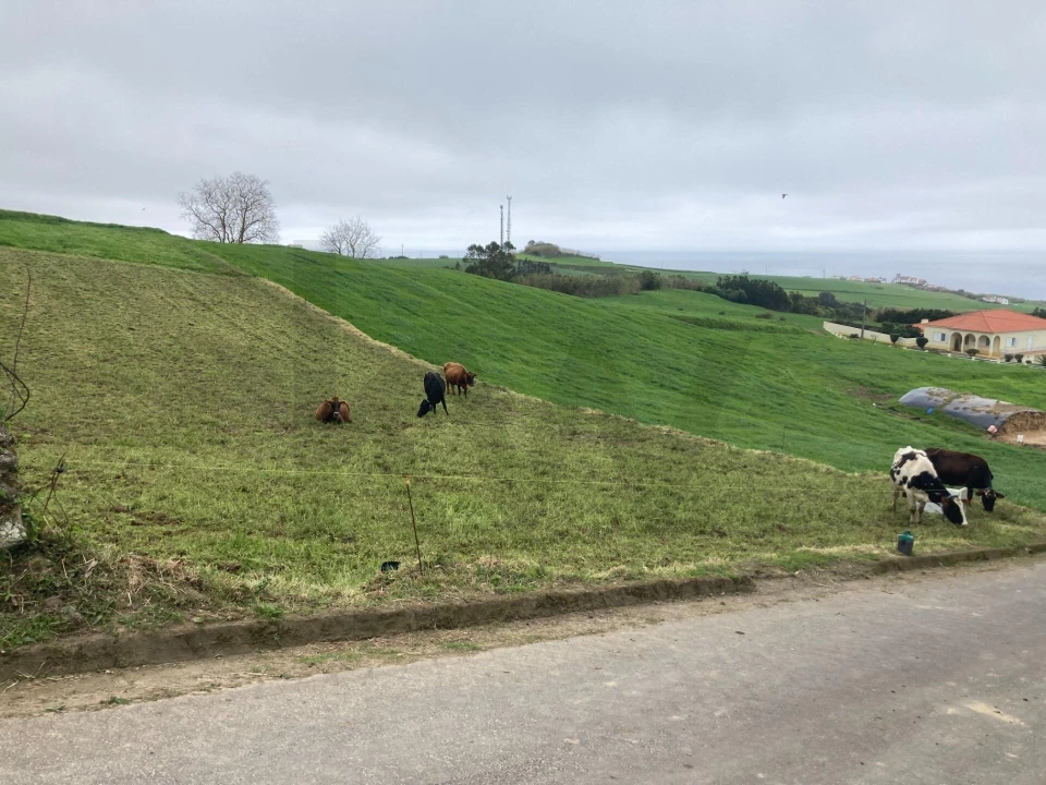 Terreno para Venda em Santana Foto 3