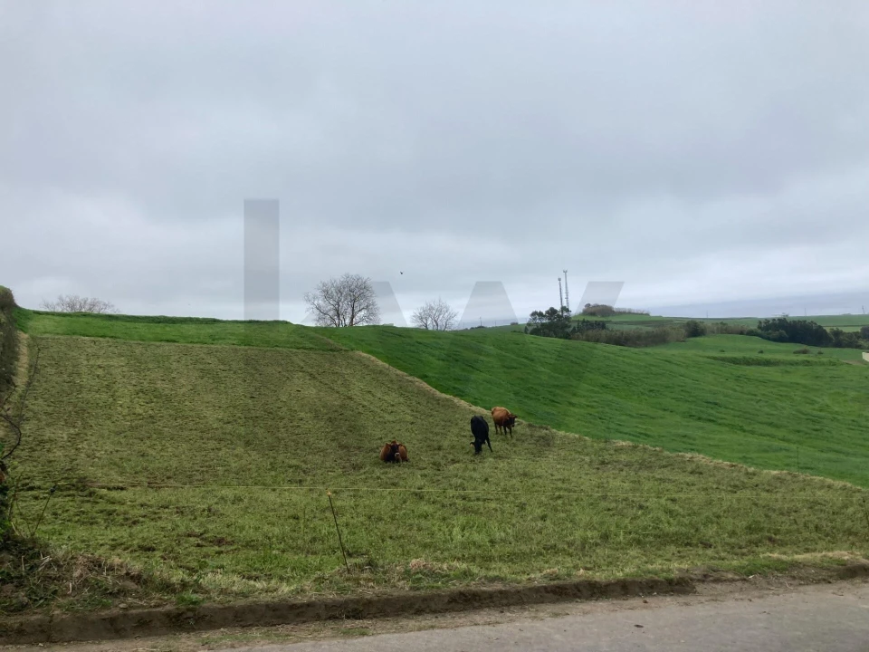 Terreno para Venda em Santana Foto 2