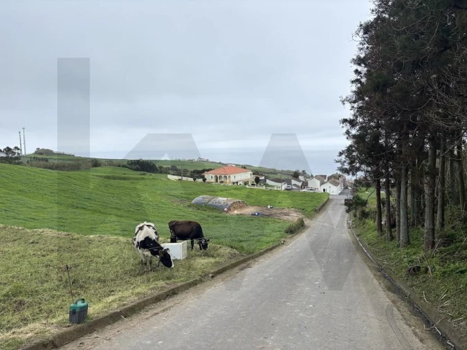 Terreno para Venda em Santana Foto 6