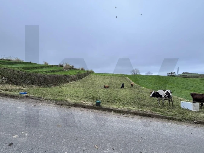 Terreno para Venda em Santana Foto 4