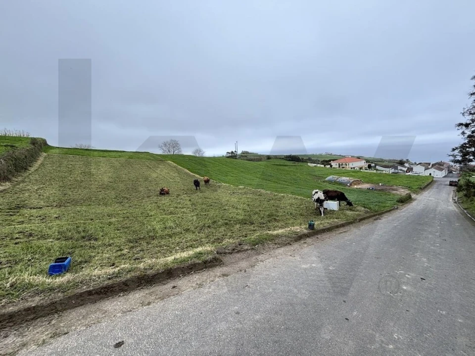 Terreno para Venda em Santana Foto 5