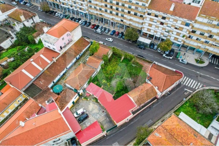 Prédio para Venda em Romeira e Várzea Foto 10