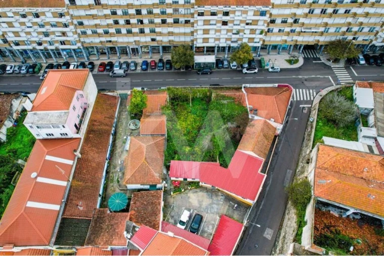 Prédio para Venda em Romeira e Várzea Foto 12