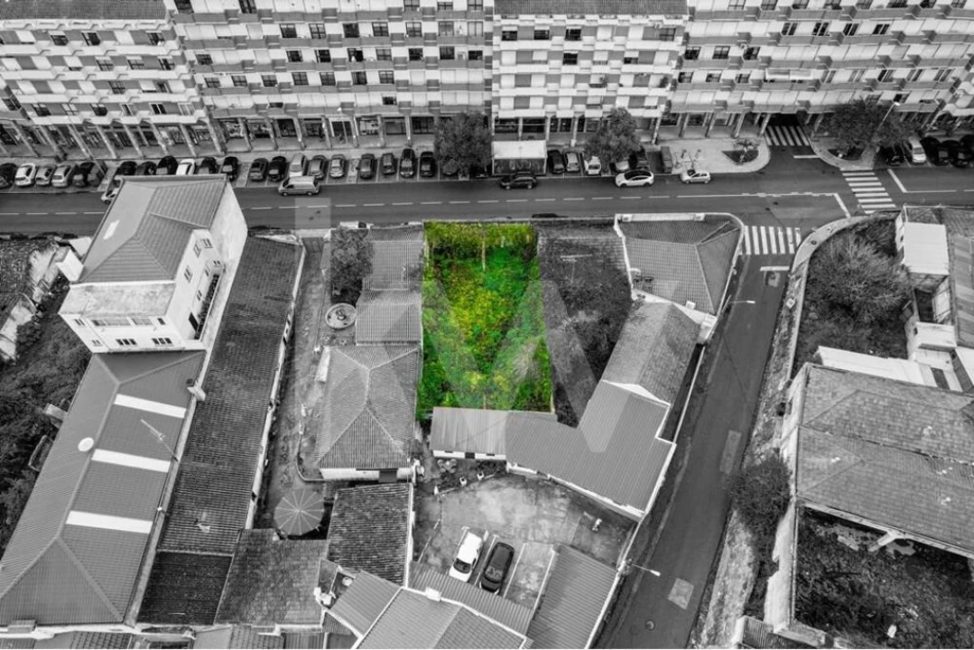 Prédio para Venda em Romeira e Várzea Foto 11