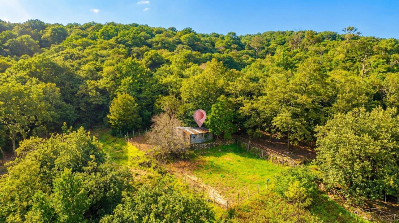 Terreno para Venda em Seixal Foto 15
