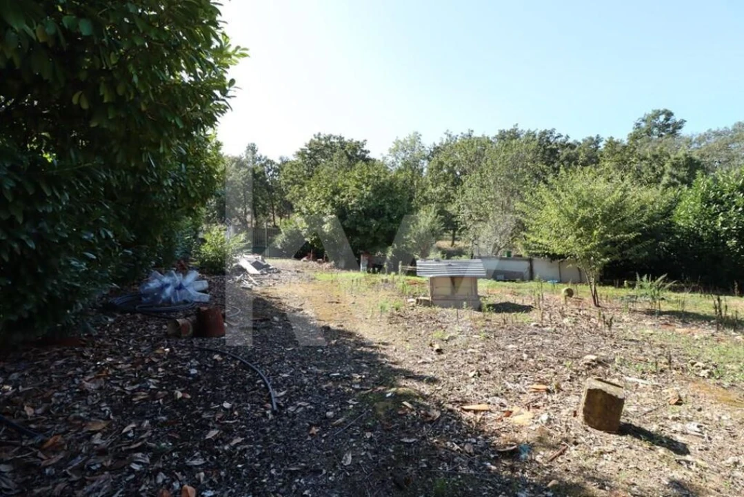 Moradia T7 para Venda em Côja e Barril de Alva Foto 18