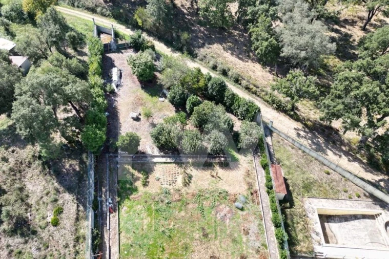 Moradia T7 para Venda em Côja e Barril de Alva Foto 7