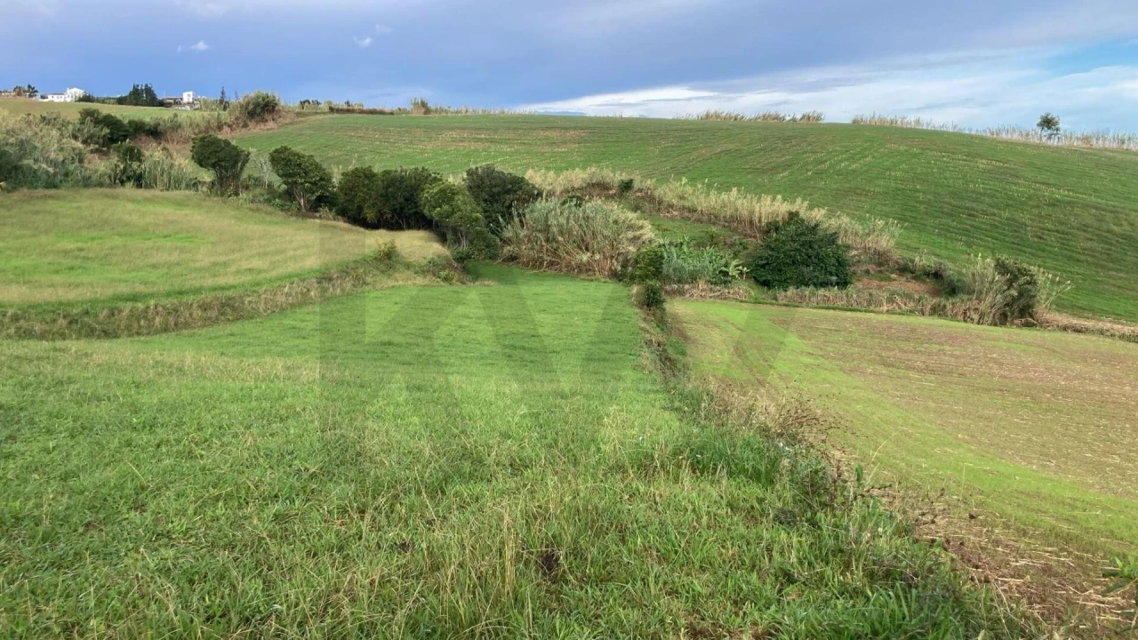 Terreno para Venda em Lomba da Fazenda Foto 1