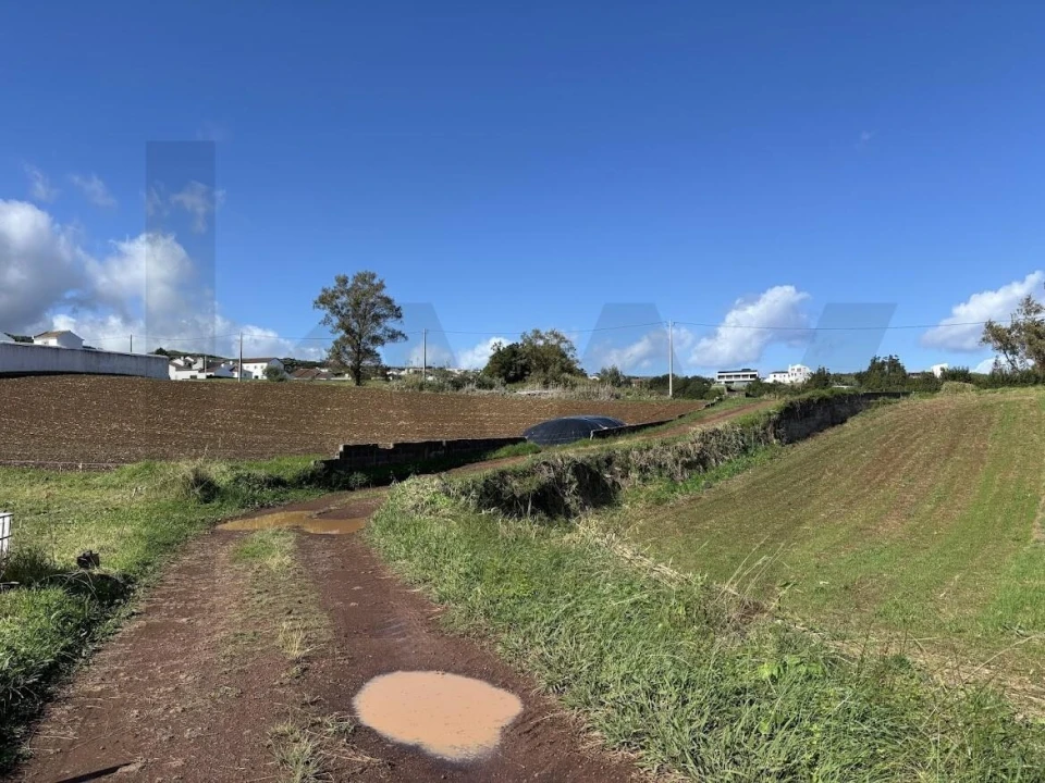 Terreno para Venda em Lomba da Fazenda Foto 5