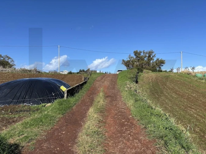 Terreno para Venda em Lomba da Fazenda Foto 6