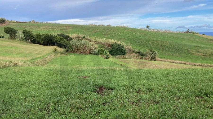 Terreno para Venda em Lomba da Fazenda Foto 2