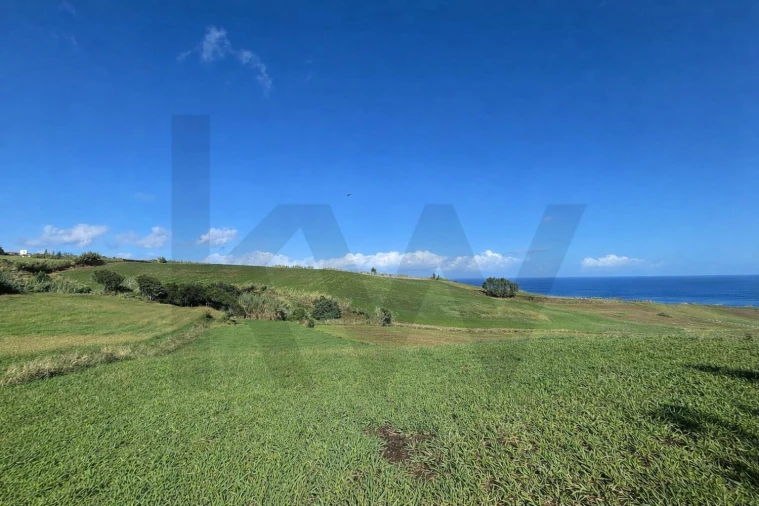 Terreno para Venda em Lomba da Fazenda Foto 4