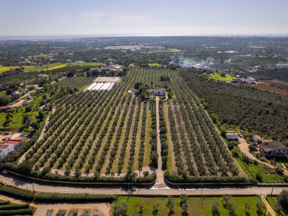 Moradia T5 para Venda em Olhão Foto 6