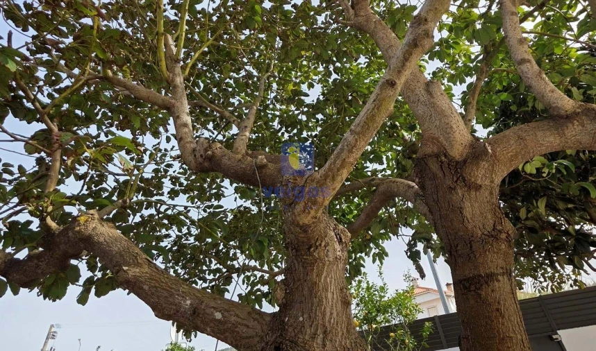 Moradia T5 para Venda em Caldas da Rainha - Santo Onofre e Serra do Bouro Foto 36