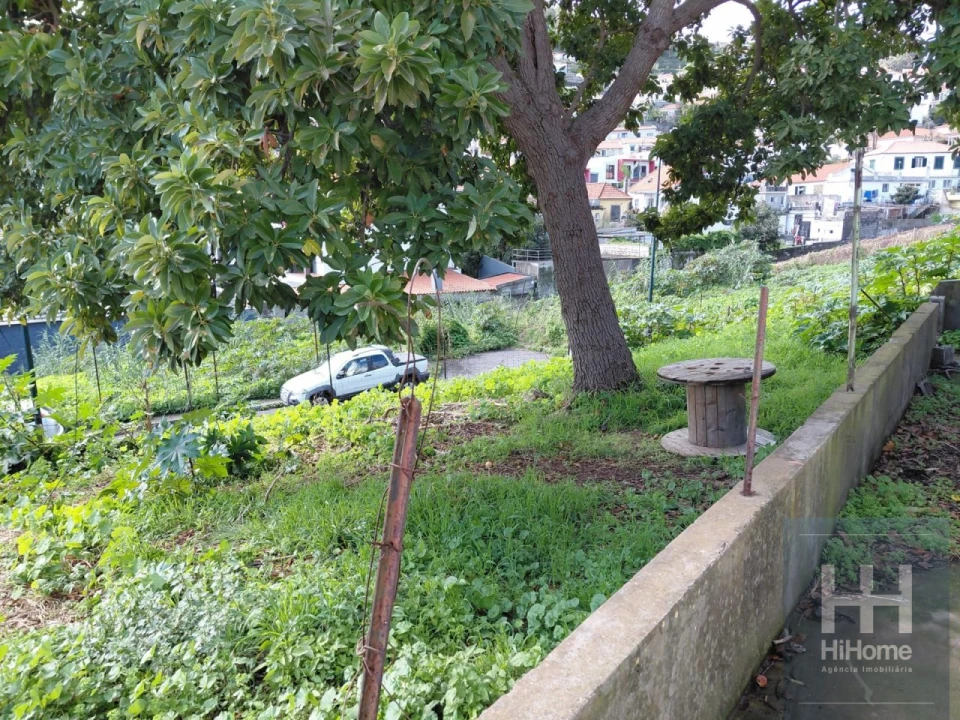 Moradia T2 para Venda em Santo Antonio Foto 4