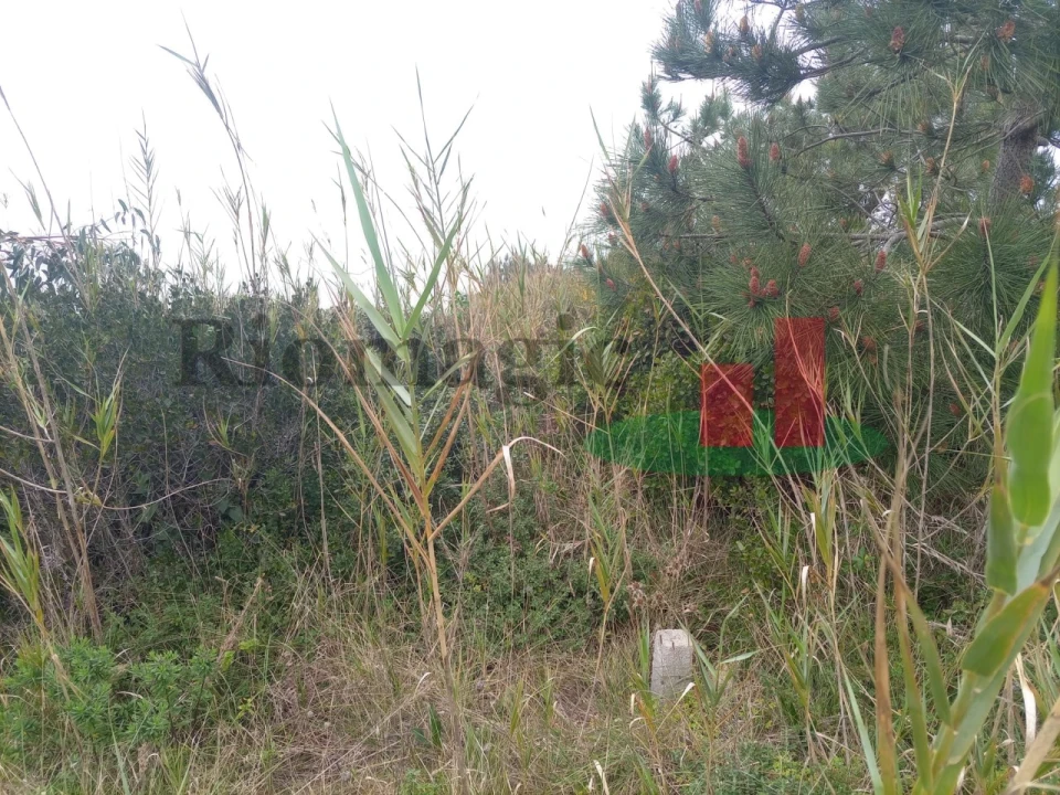 Terreno Agricola ou Rústico para Venda em Caldas da Rainha - Santo Onofre e Serra do Bouro Foto 5