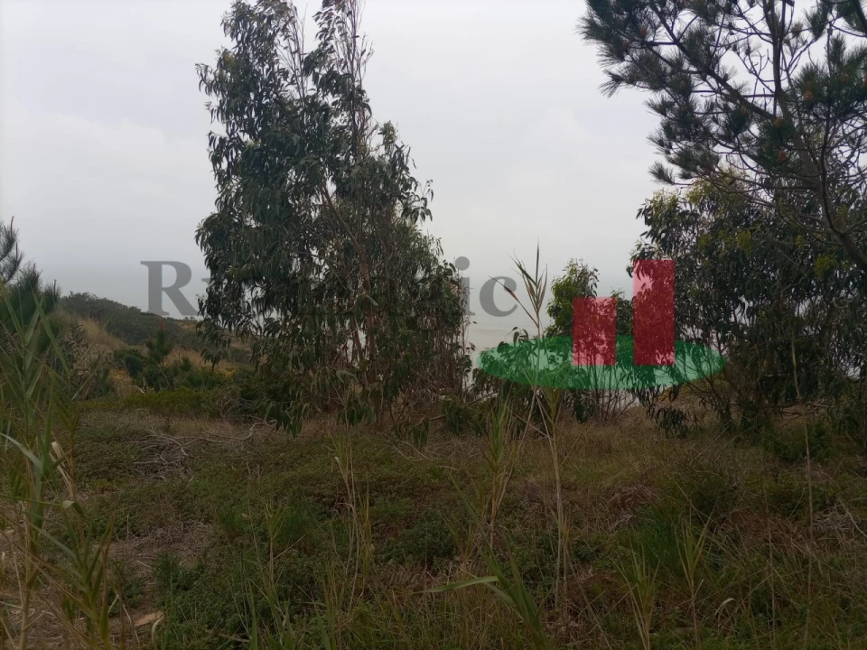 Terreno Agricola ou Rústico para Venda em Caldas da Rainha - Santo Onofre e Serra do Bouro Foto 9