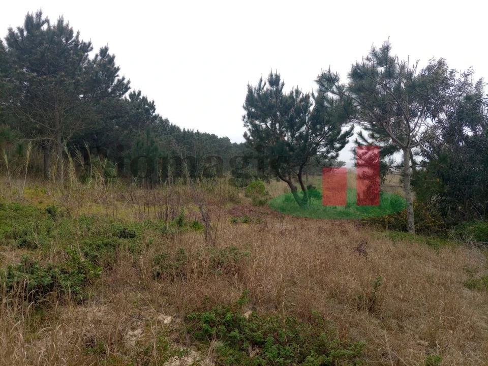 Terreno Agricola ou Rústico para Venda em Caldas da Rainha - Santo Onofre e Serra do Bouro Foto 11