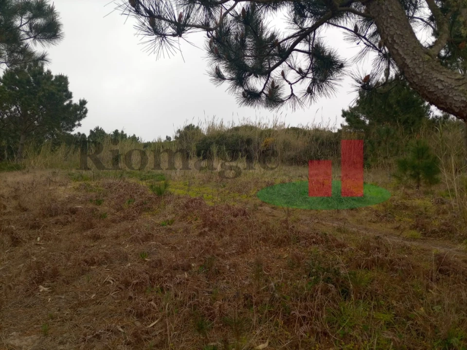 Terreno Agricola ou Rústico para Venda em Caldas da Rainha - Santo Onofre e Serra do Bouro Foto 14