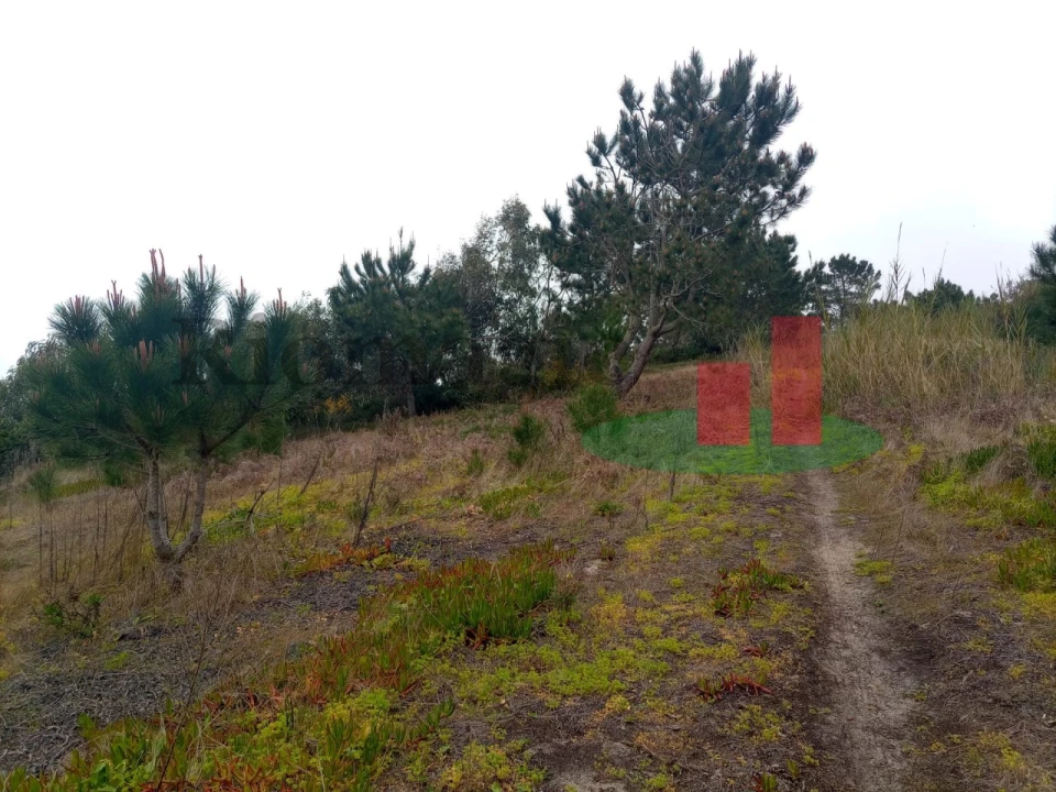 Terreno Agricola ou Rústico para Venda em Caldas da Rainha - Santo Onofre e Serra do Bouro Foto 15