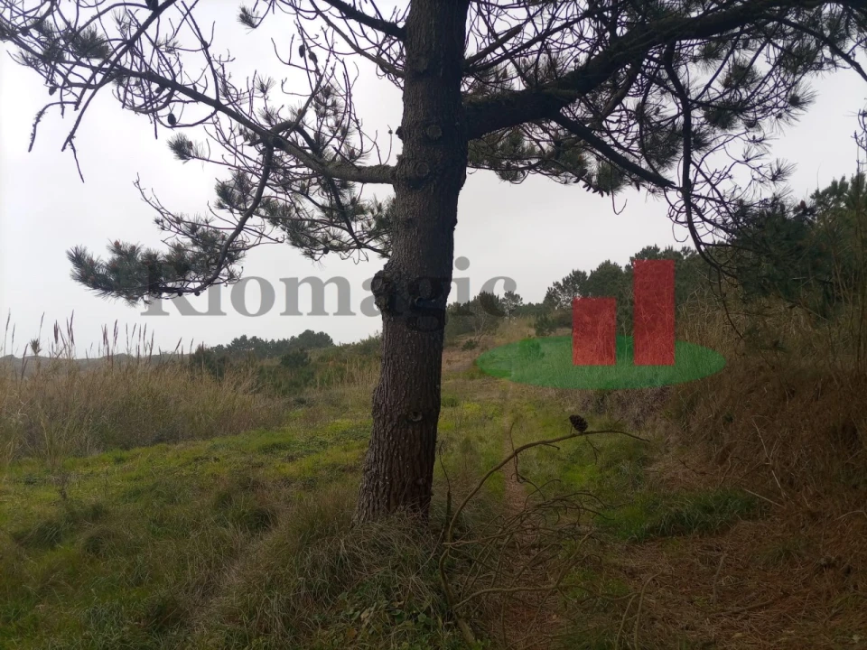 Terreno Agricola ou Rústico para Venda em Caldas da Rainha - Santo Onofre e Serra do Bouro Foto 16