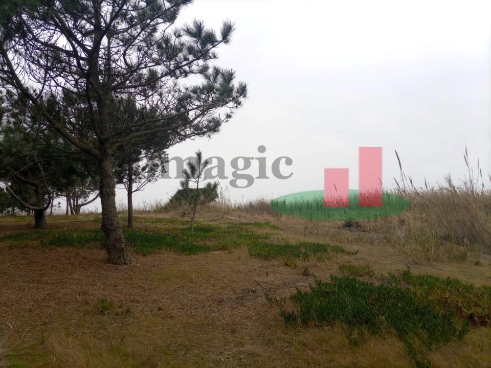 Terreno Agricola ou Rústico para Venda em Caldas da Rainha - Santo Onofre e Serra do Bouro Foto 18