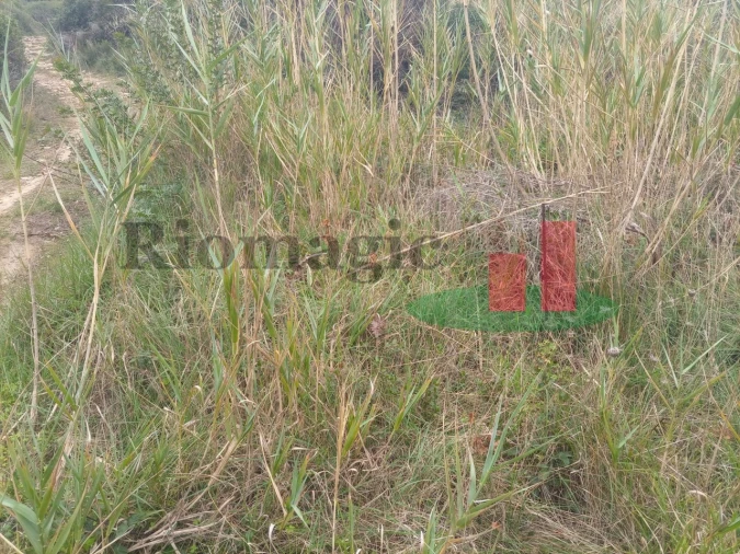 Terreno Agricola ou Rústico para Venda em Caldas da Rainha - Santo Onofre e Serra do Bouro Foto 6