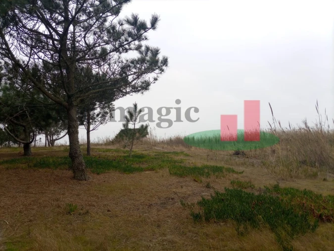 Terreno Agricola ou Rústico para Venda em Caldas da Rainha - Santo Onofre e Serra do Bouro Foto 18