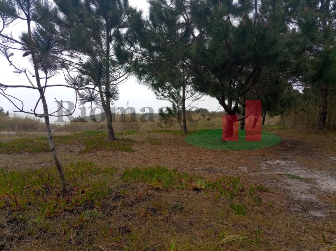 Terreno Agricola ou Rústico para Venda em Caldas da Rainha - Santo Onofre e Serra do Bouro Foto 19