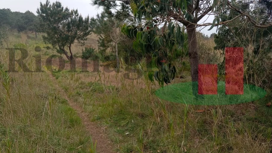 Terreno Agricola ou Rústico para Venda em Caldas da Rainha - Santo Onofre e Serra do Bouro