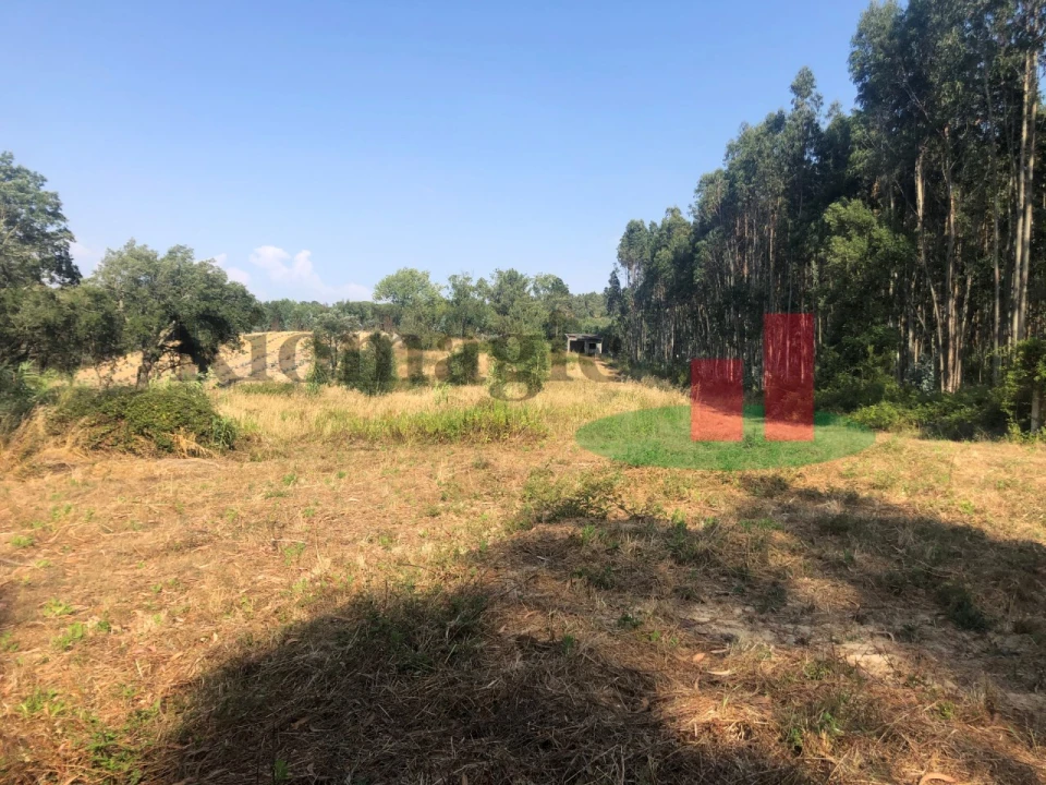 Terreno Agricola ou Rústico para Venda em Asseiceira Foto 7