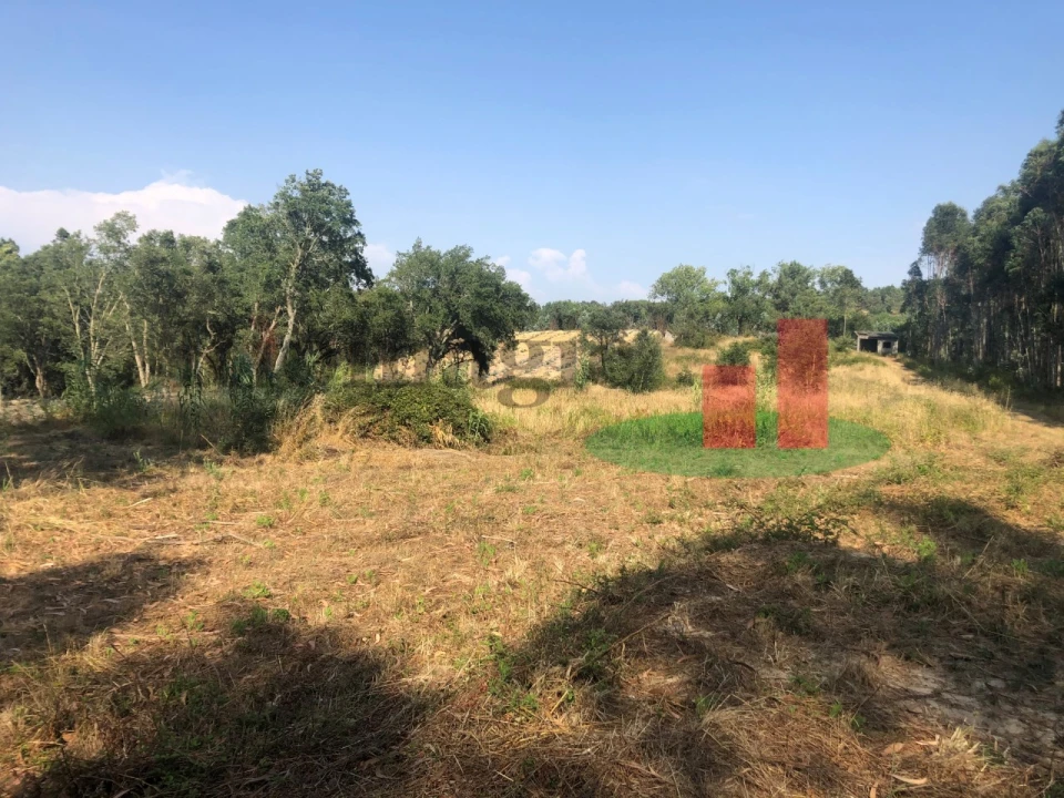 Terreno Agricola ou Rústico para Venda em Asseiceira Foto 6