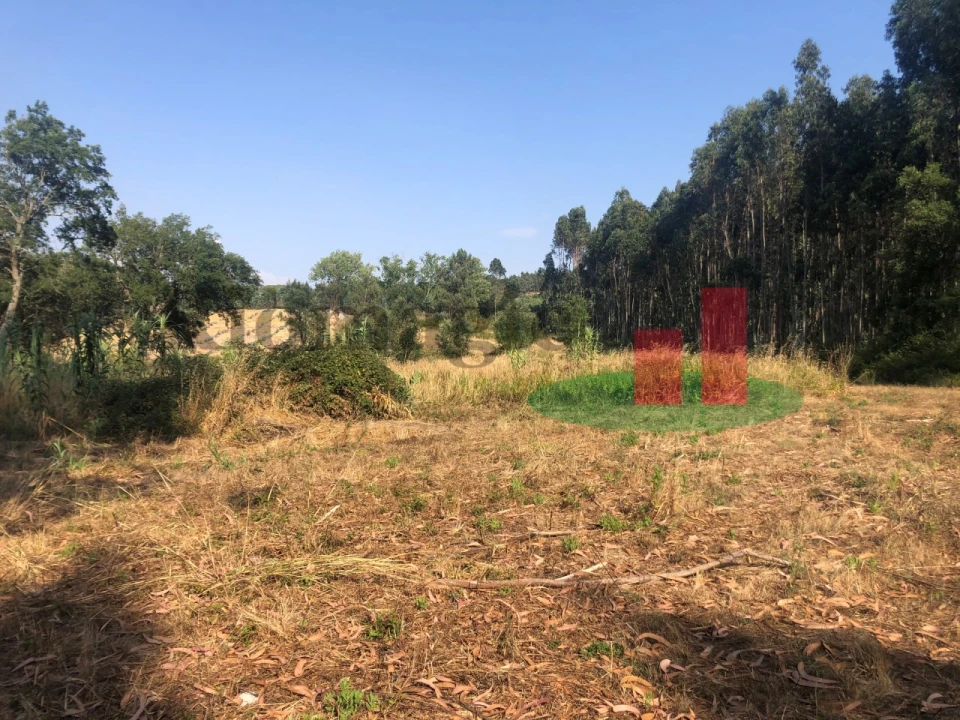 Terreno Agricola ou Rústico para Venda em Asseiceira Foto 8