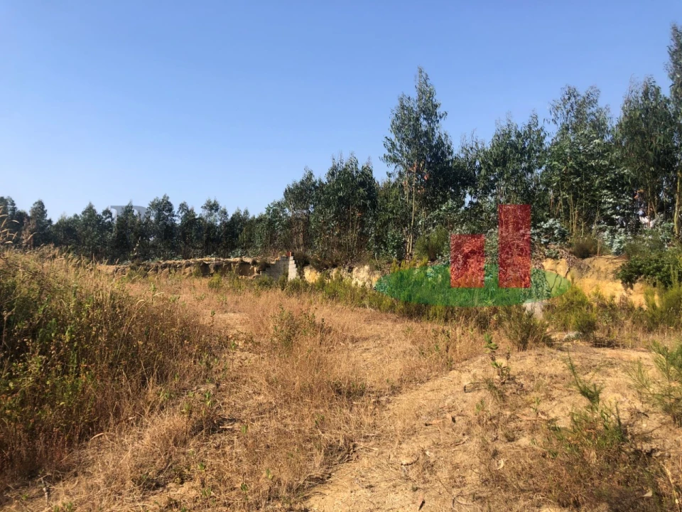 Terreno Agricola ou Rústico para Venda em Asseiceira Foto 9