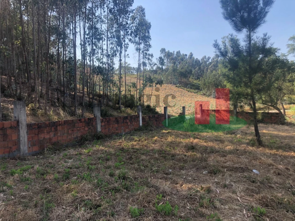 Terreno Agricola ou Rústico para Venda em Asseiceira Foto 5