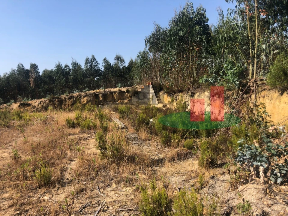Terreno Agricola ou Rústico para Venda em Asseiceira Foto 11
