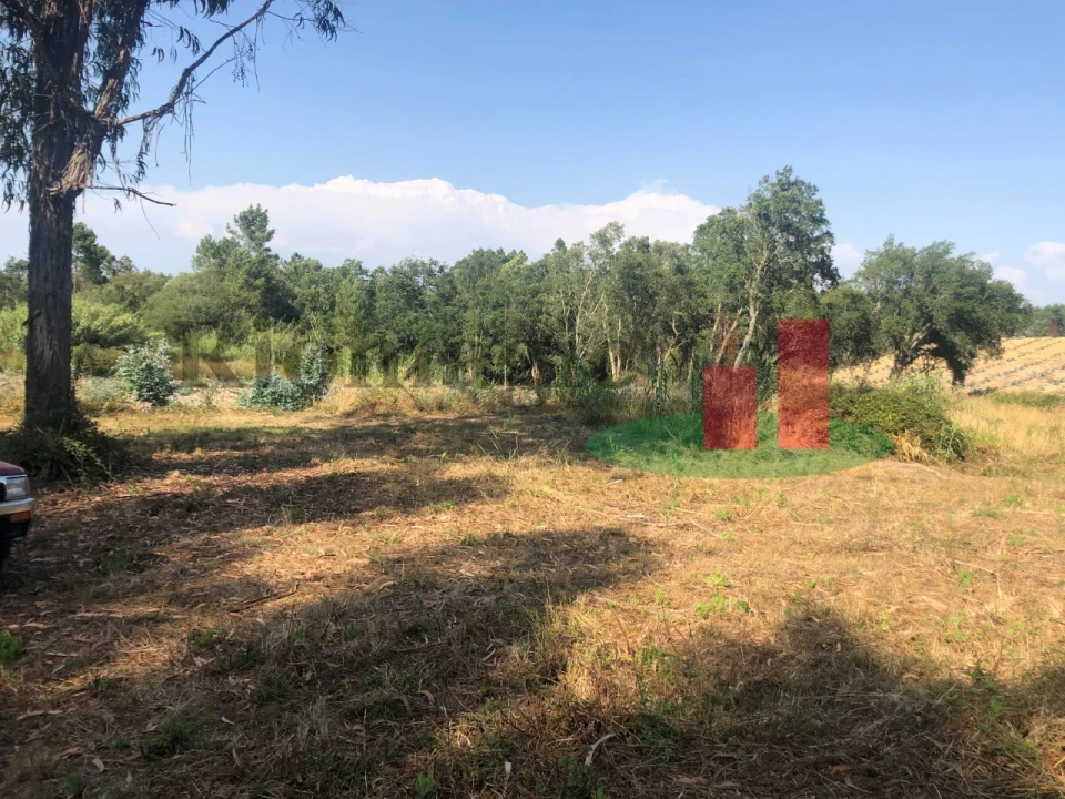 Terreno Agricola ou Rústico para Venda em Asseiceira Foto 12