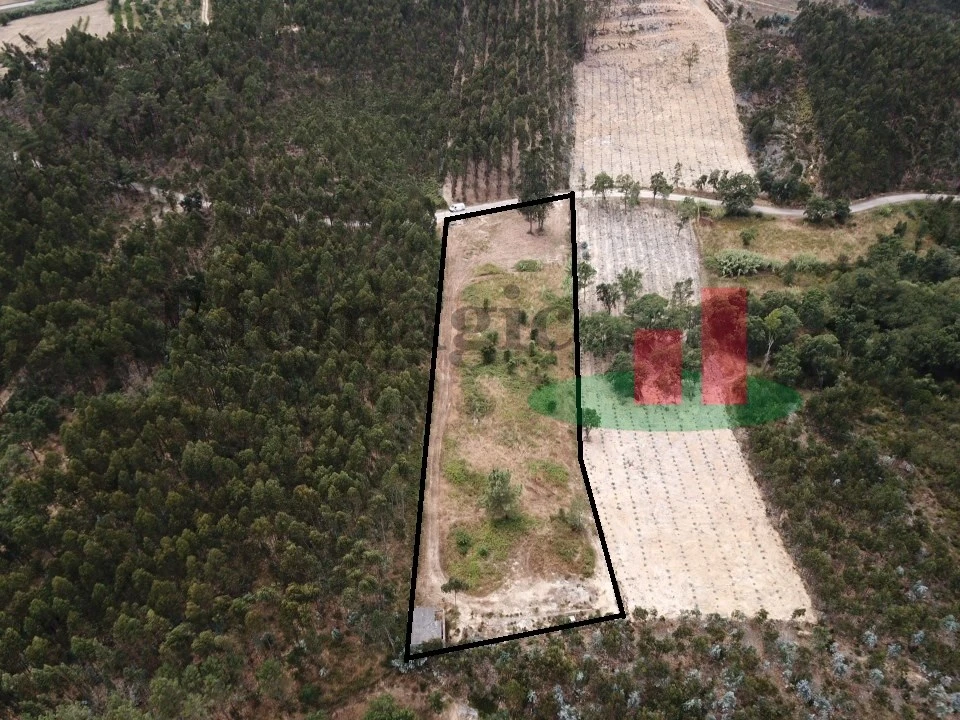 Terreno Agricola ou Rústico para Venda em Asseiceira Foto 1