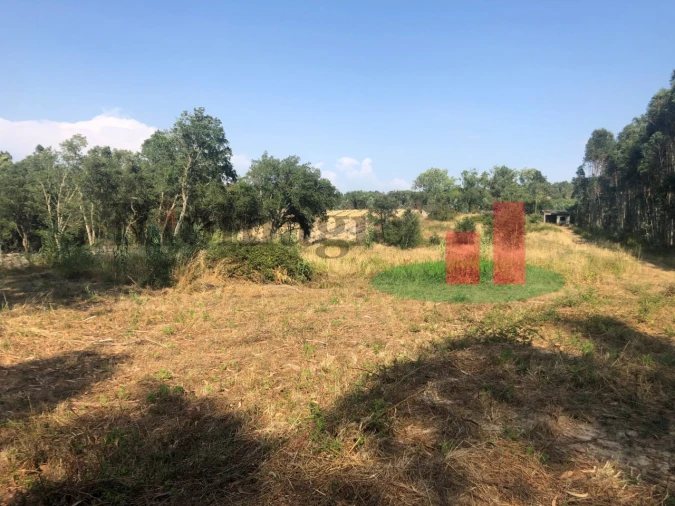 Terreno Agricola ou Rústico para Venda em Asseiceira Foto 6