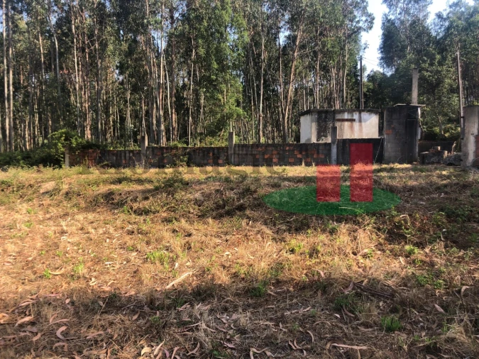 Terreno Agricola ou Rústico para Venda em Asseiceira Foto 10