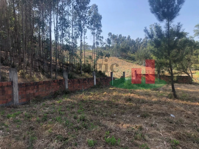 Terreno Agricola ou Rústico para Venda em Asseiceira Foto 5