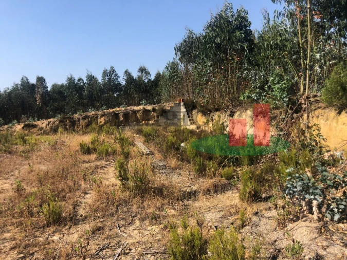 Terreno Agricola ou Rústico para Venda em Asseiceira Foto 11