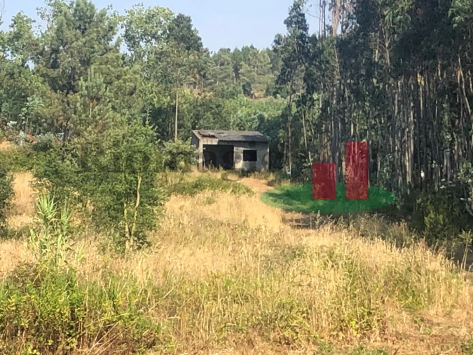 Terreno Agricola ou Rústico para Venda em Asseiceira Foto 13
