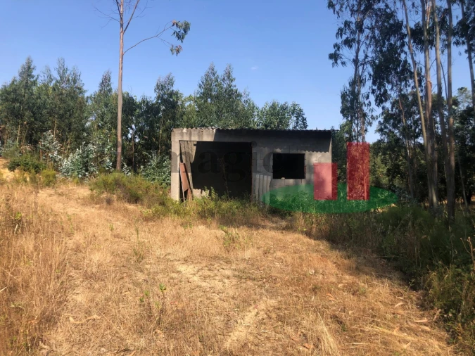 Terreno Agricola ou Rústico para Venda em Asseiceira Foto 14