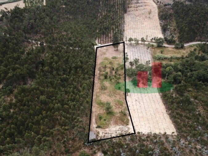 Terreno Agricola ou Rústico para Venda em Asseiceira Foto 1