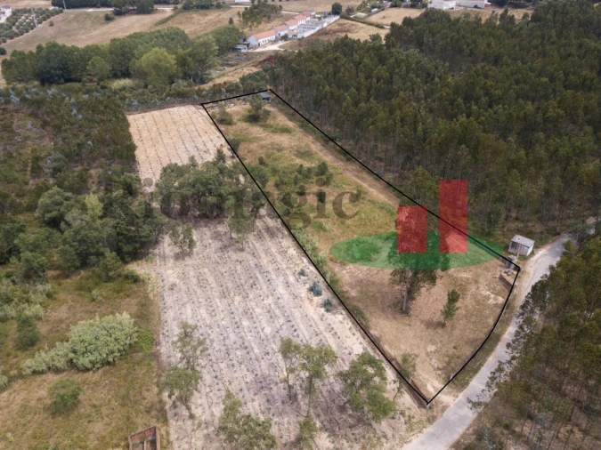 Terreno Agricola ou Rústico para Venda em Asseiceira Foto 3