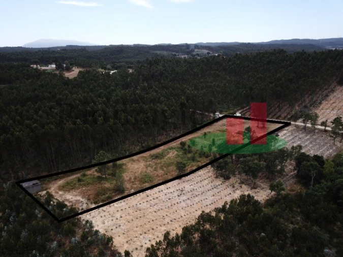 Terreno Agricola ou Rústico para Venda em Asseiceira Foto 15