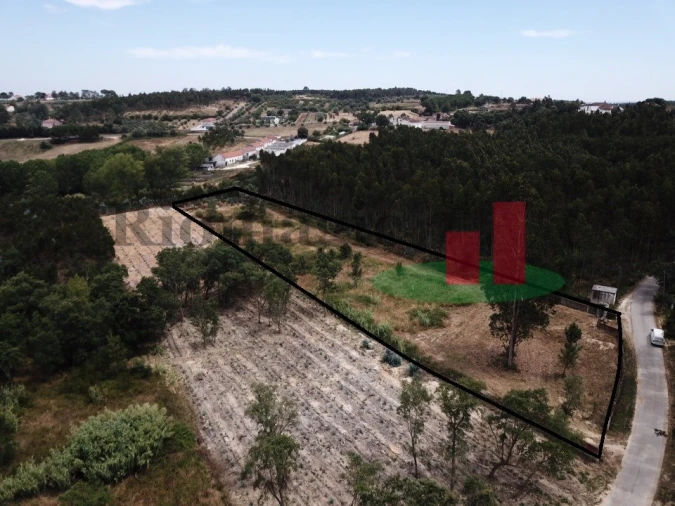 Terreno Agricola ou Rústico para Venda em Asseiceira Foto 16