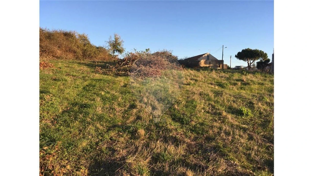 Terreno para Venda em Cela Foto 8