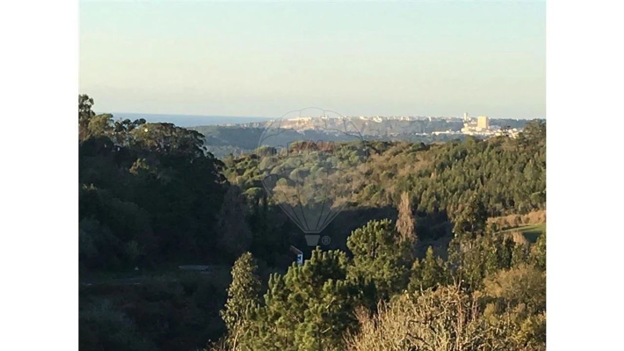 Terreno para Venda em Cela Foto 6